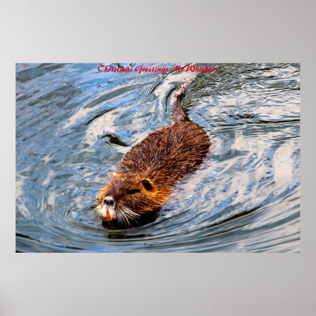 Poster Saudações de Natal Sr. Bigodes (Frente)