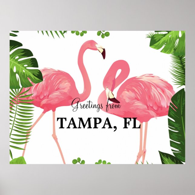Poster Saudações de Tampa, Flórida (Frente)