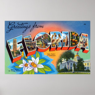 Poster Saudações Vintage da Flórida
