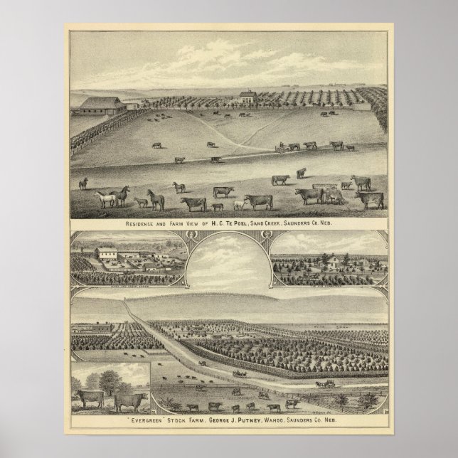 Póster Saunders County Fazendas, Nebraska (Frente)