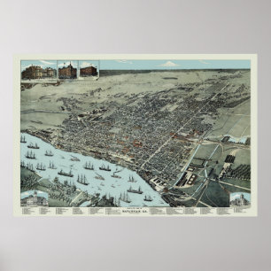 Poster Savannah Georgia 1891 Birds Ver Mapa Vintage