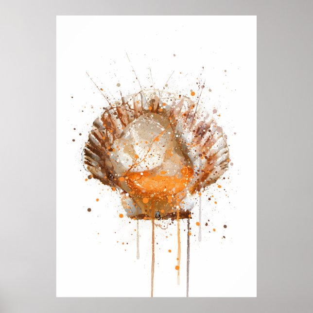 Poster Scallop (Frente)