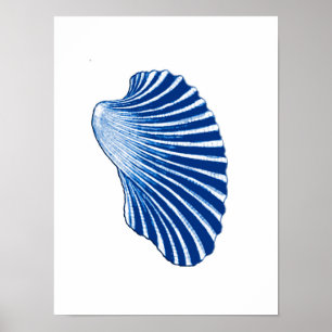 Poster Scallop Shell, azul de índigo e branco