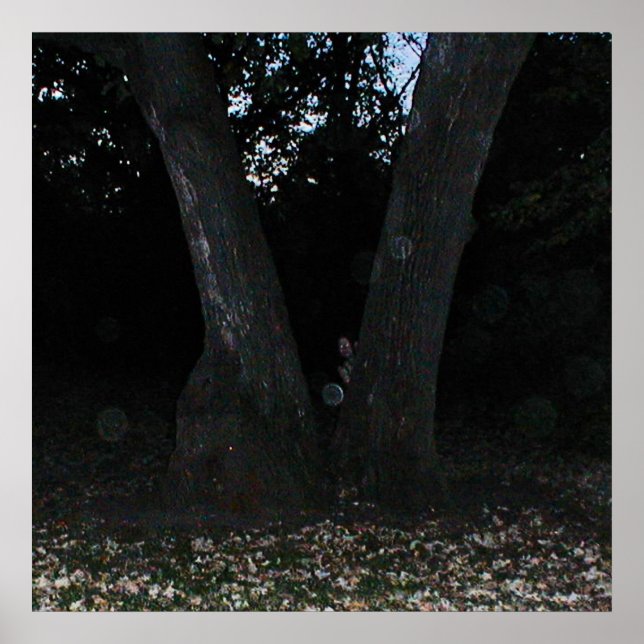 Póster Scary Faerie (Frente)