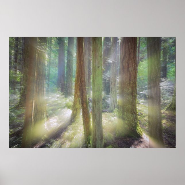 Póster Scenic Beach State Park (Frente)