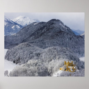 Poster Schloss Hohenschwangau