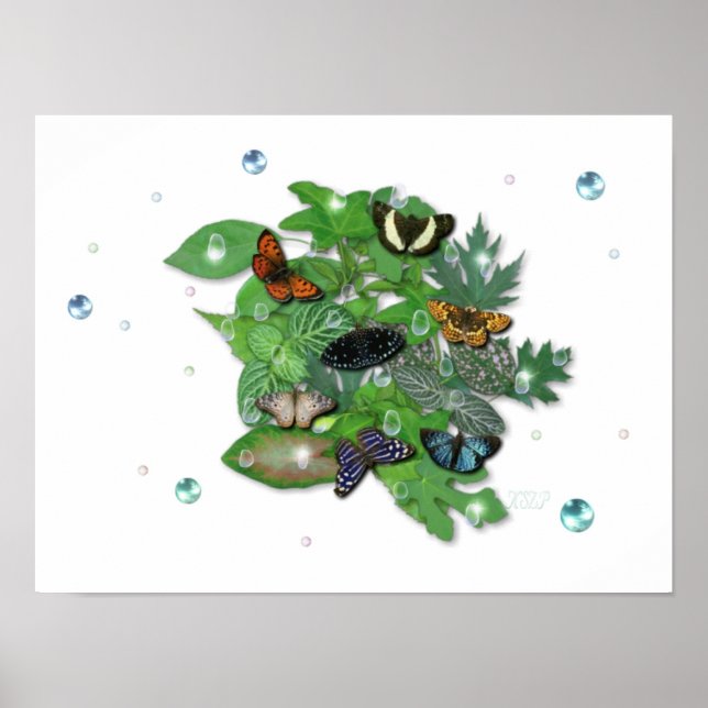 Poster Schmetterlinge mit Blätter, Regentropfen, Perlen (Frente)