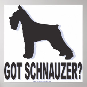 Poster Schnauzer