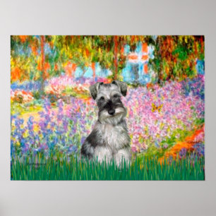 Poster Schnauzer 1N - Jardim