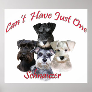 Poster Schnauzer Can't Have Just One Prints