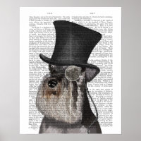 Schnauzer, Chapéu Formal e Chapéu
