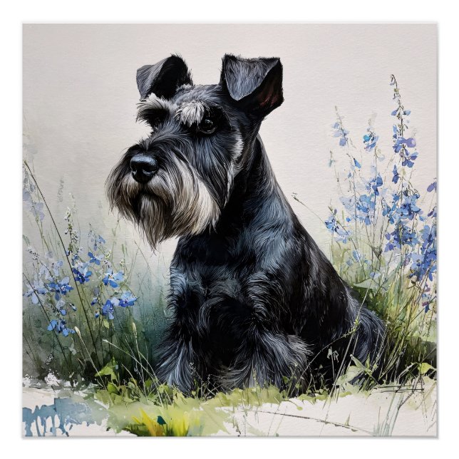 Póster Schnauzer em Aquarela (Frente)