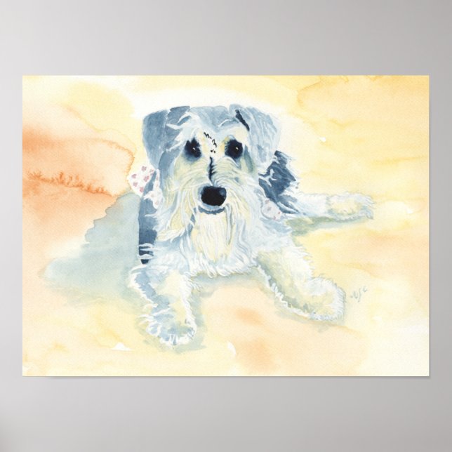 Poster Schnauzer Mia (Frente)