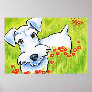 Póster Schnauzer puro