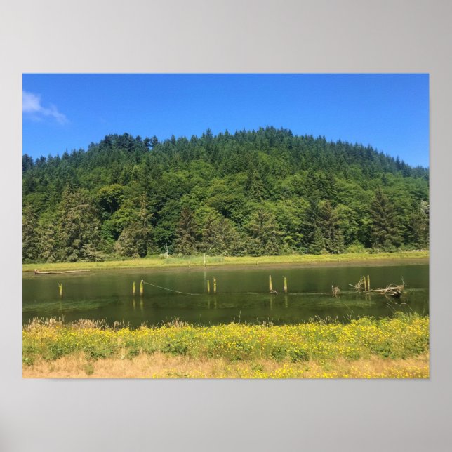 Poster Scholfield Creek, Reedsport (Frente)