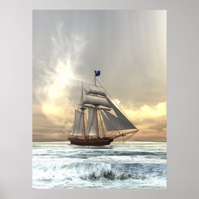 Poster Schooner (Frente)