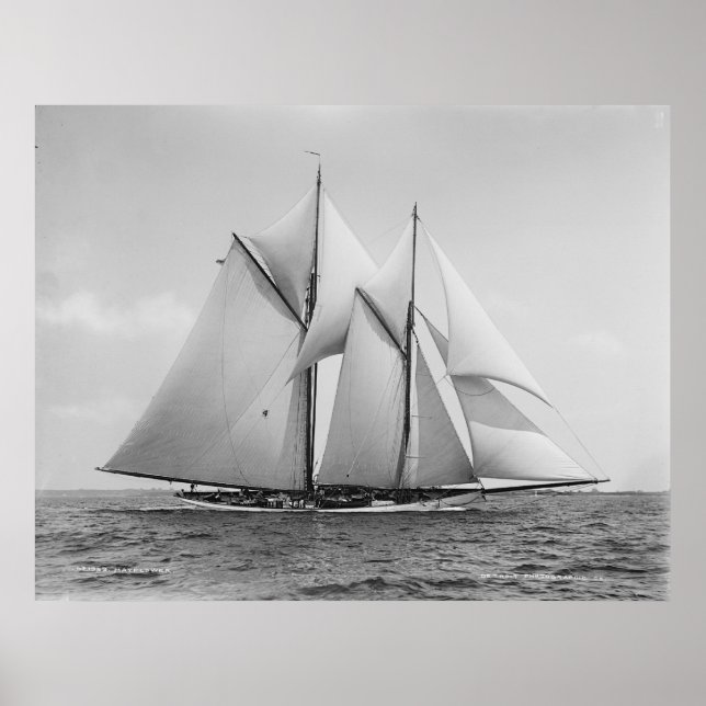 Poster Schooner Mayflower (Frente)
