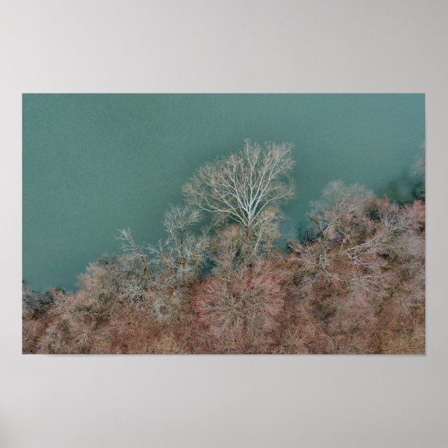 Poster Schuylkill River Trees Sanatoga (Frente)