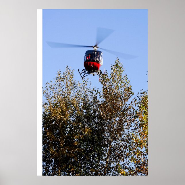 Póster Schweizer vindo para terra (Frente)