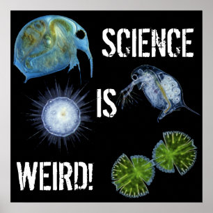 Póster Science is Weird poster!
