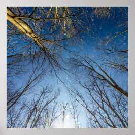 Poster Scioto Grove Metro Park, Grove City, Ohio