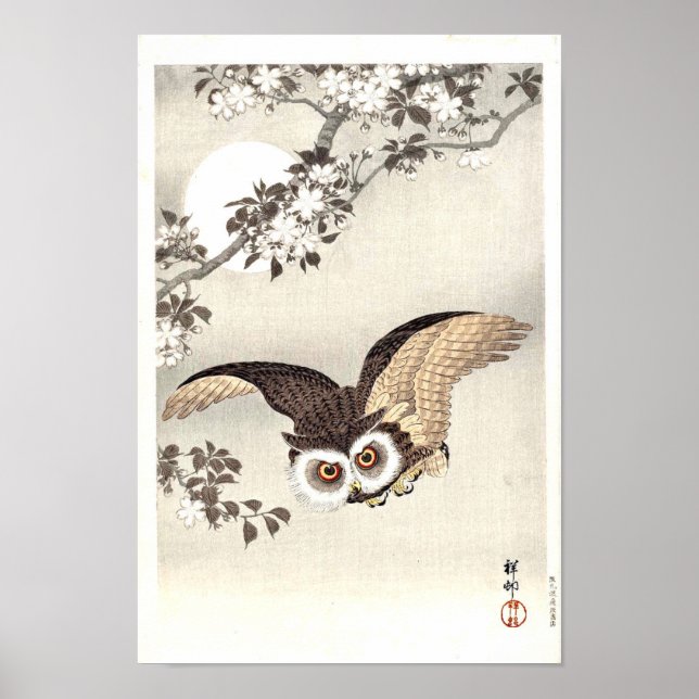 Poster Scop Owl, Cherry Blossoms e Lua (Frente)