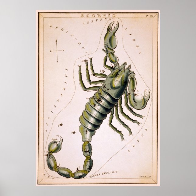 POSTER SCORPION SCORPIO CONSTELLATION 1825 (Frente)