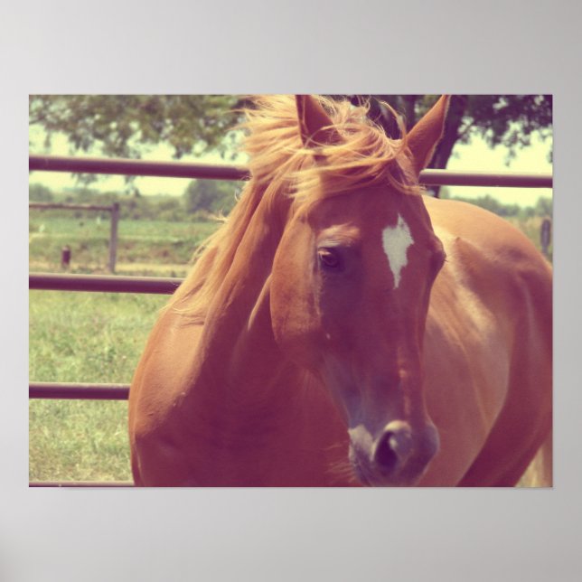 Póster Scotch de foco suave (Frente)