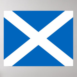 Póster Scotland/poster escocês da bandeira