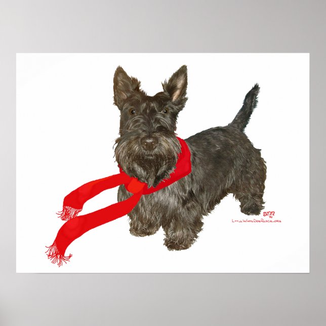 Poster Scottie de Inverno com Cachecol Wam (Frente)