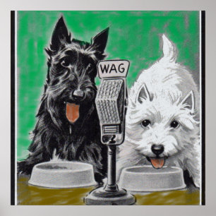 Poster Scottie dog Blackie and Whitie na rádio