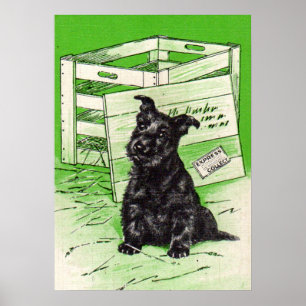 Poster Scottie dog por entrega especial
