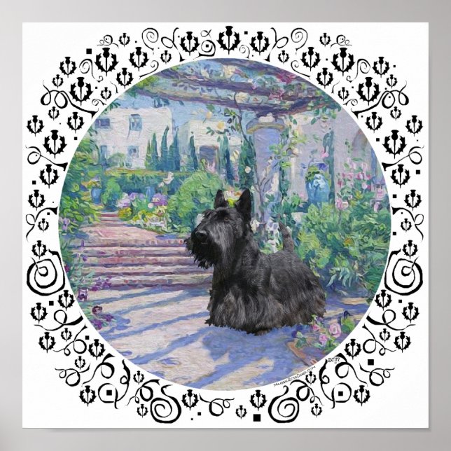 Poster Scottie no Jardim da Primavera (Frente)