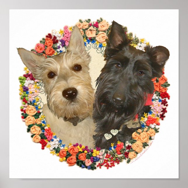 Póster Scotties Trigo e Preto (Frente)