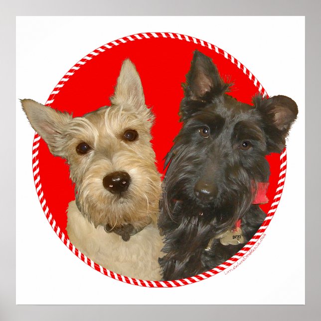 Póster Scotties Trigo e Preto de Natal (Frente)