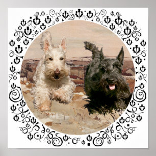 Póster Scotties Trigo e Preto em Corrida