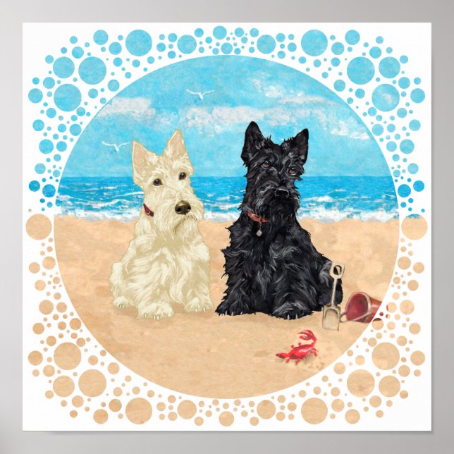 Póster Scotties Trigo e Preto na Praia (Frente)
