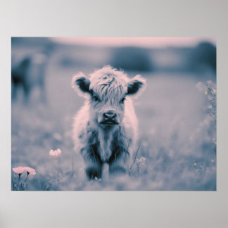 Poster Scottish Highland Calf Baby Cow Pink Tint Impressã