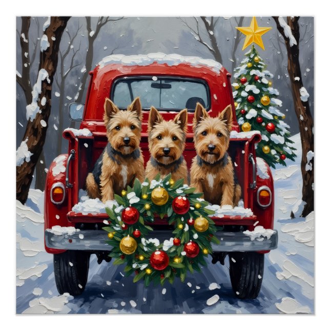Póster Scottish Terrier Christmas Red Truck Holiday (Frente)