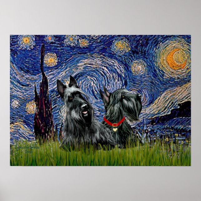 Póster Scottish Terrier (dois negros) - Starry Night (Frente)