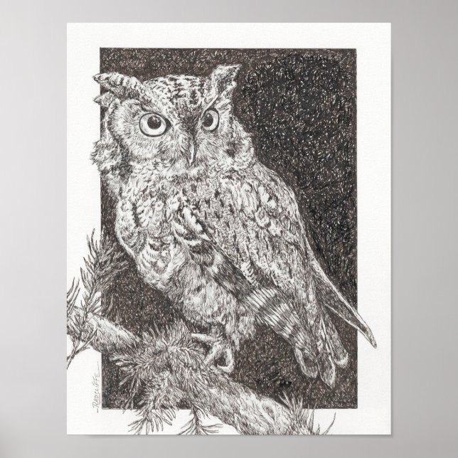 Poster Screech Owl (Frente)