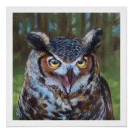 Póster Screeching Owl Poster Print