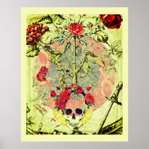 Poster Scull e Rosa Bush