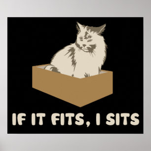 Póster Se cabe, I senta o gato