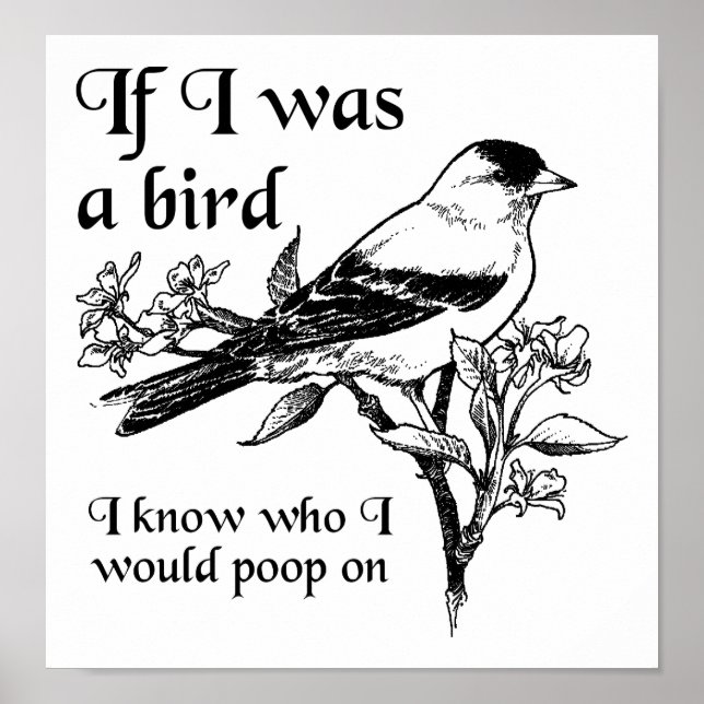 Póster Se Eu Fosse um Pássaro Cartaz Divertido (Frente)