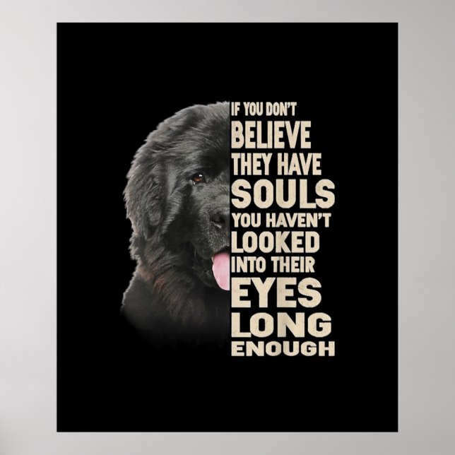 Poster Se Não Acredita Que Têm Almas Na Terra Nova (Frente)