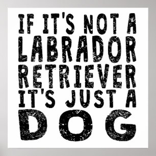 Póster Se não é labrador retriever