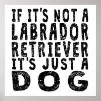 Se não é um Labrador Retriever