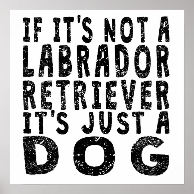 Póster Se não é um Labrador Retriever (Frente)