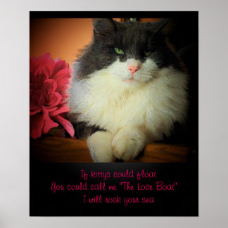 Poster Se os gatos pudessem flutuar